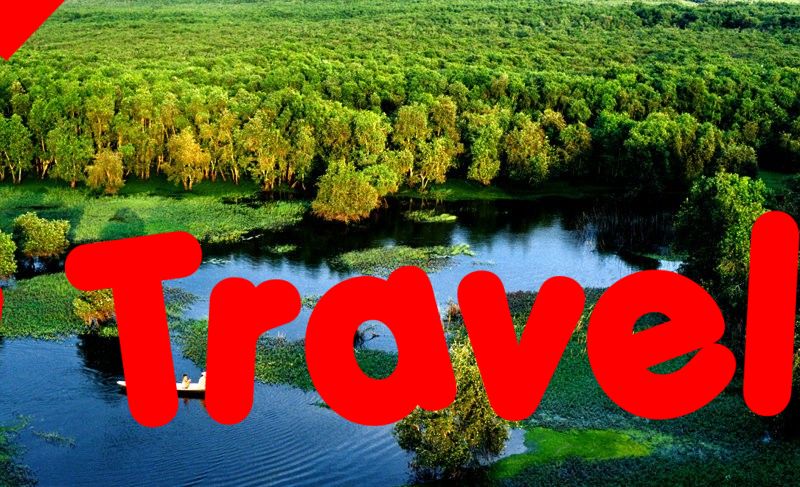 Rừng Tràm Trà Sư - An Giang
