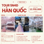 TOUR HÀN QUỐC 2026: CHẠM VÀO GIẤC MƠ ANH ĐÀO RỰC RỠ