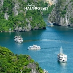 COMBO HẠ LONG 2N1D