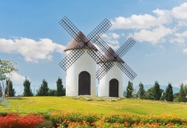 Càn Quét Đà Lạt: 6 Tọa Độ Bánh Ngọt & Trà Sữa "Gây Nghiện" Tại Trung Tâm