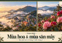 [TAM ĐẢO] Mùa hoa – mùa săn mây: hẹn phố núi từ tháng 11 đến tháng 3