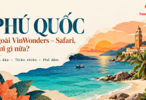 [PHÚ QUỐC] Ngoài VinWonders – Safari, còn gì để chơi từ biển đảo đến phố đêm?