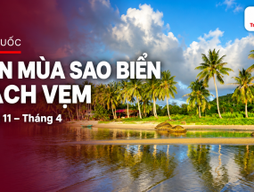 [PHÚ QUỐC] Mùa sao biển Rạch Vẹm từ tháng 11 đến tháng 4: hẹn một chuyến Phú Quốc