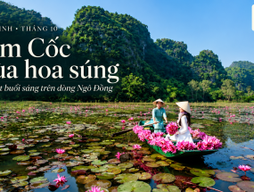 [NINH BÌNH] Mùa hoa súng tháng 10 ở Tam Cốc có gì? Hẹn một buổi sáng trên dòng Ngô Đồng.