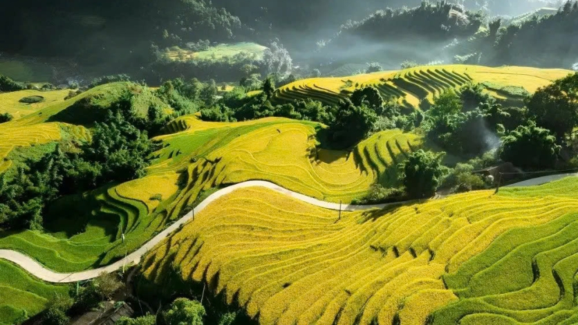 [SAPA] 5 tọa độ check-in ruộng bậc thang Sa Pa đẹp vào mùa lúa chín