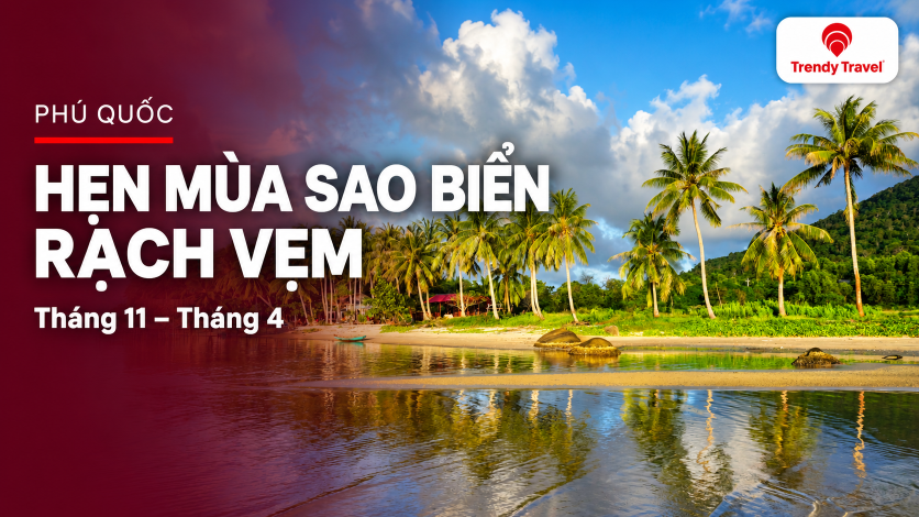 [PHÚ QUỐC] Mùa sao biển Rạch Vẹm từ tháng 11 đến tháng 4: hẹn một chuyến Phú Quốc