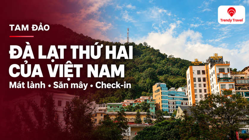 [TAM ĐẢO] Vì sao Tam Đảo được gọi là “Đà Lạt thứ hai” của Việt Nam?