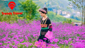 VÉ CÁP TREO FANSIPAN