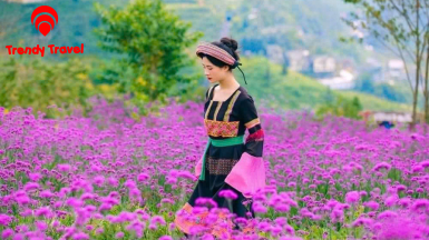 VÉ CÁP TREO FANSIPAN