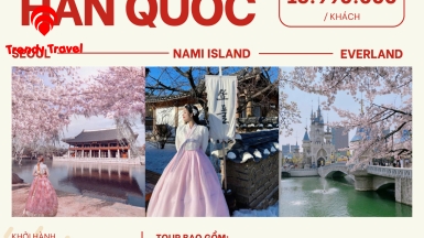 TOUR HÀN QUỐC 2026: CHẠM VÀO GIẤC MƠ ANH ĐÀO RỰC RỠ