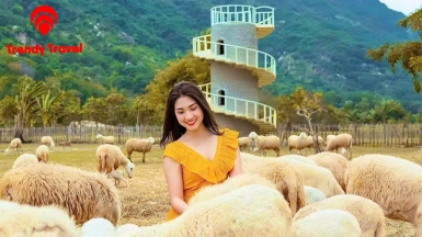 TOUR ĐỒNG CỪU – HANG RÁI – VƯỜN NHO – VĨNH HY 