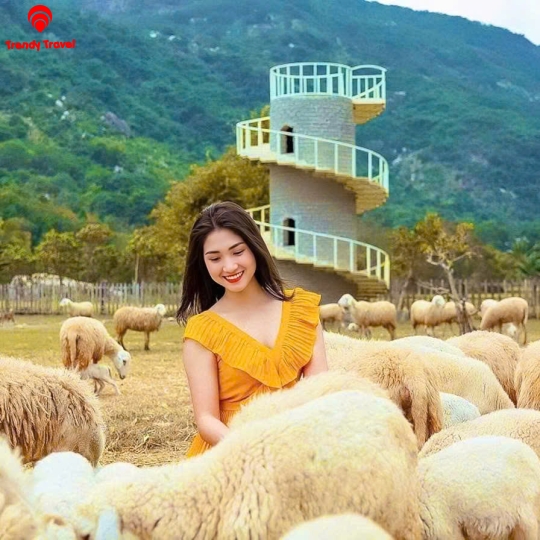 TOUR ĐỒNG CỪU – HANG RÁI – VƯỜN NHO – VĨNH HY 