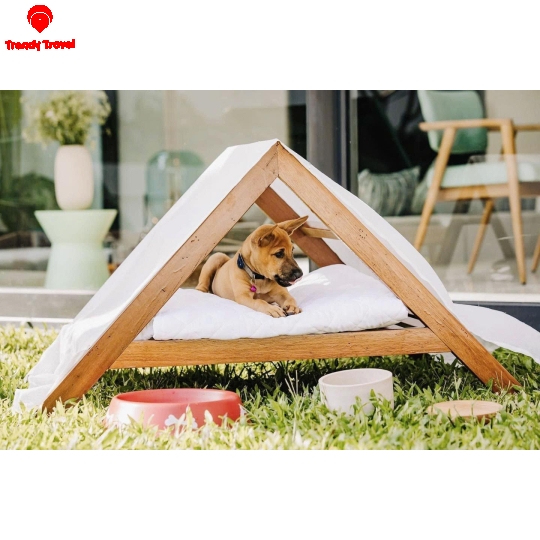 SAILING CLUB SIGNATURE