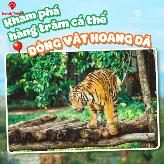 CTKM VINWONDERS NAM HỘI AN