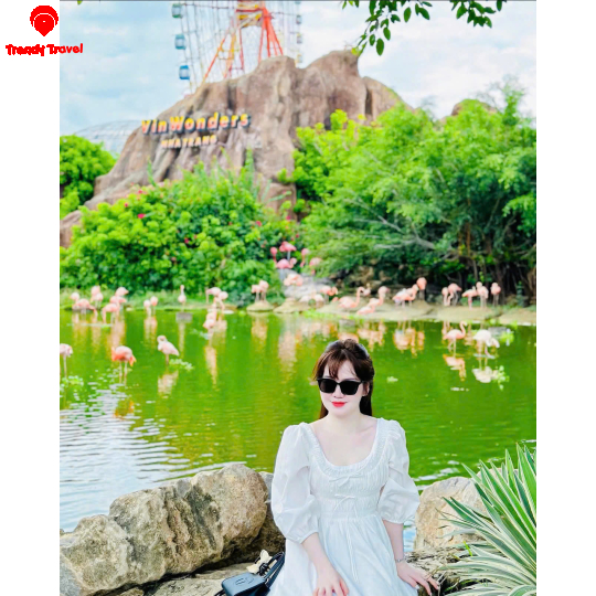 COMBO NHA TRANG NHIỀU LỰA CHỌN