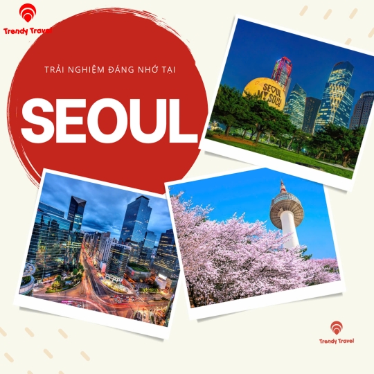 TOUR HÀN QUỐC 2026: CHẠM VÀO GIẤC MƠ ANH ĐÀO RỰC RỠ