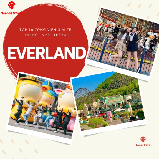 TOUR HÀN QUỐC 2026: CHẠM VÀO GIẤC MƠ ANH ĐÀO RỰC RỠ