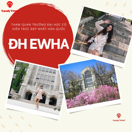 TOUR HÀN QUỐC 2026: CHẠM VÀO GIẤC MƠ ANH ĐÀO RỰC RỠ