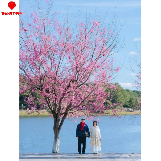 BEST WESTERN PREMIER IMPERIAL ĐÀ LẠT 