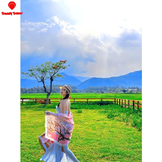 TOUR ĐỒNG CỪU – HANG RÁI – VƯỜN NHO – VĨNH HY 