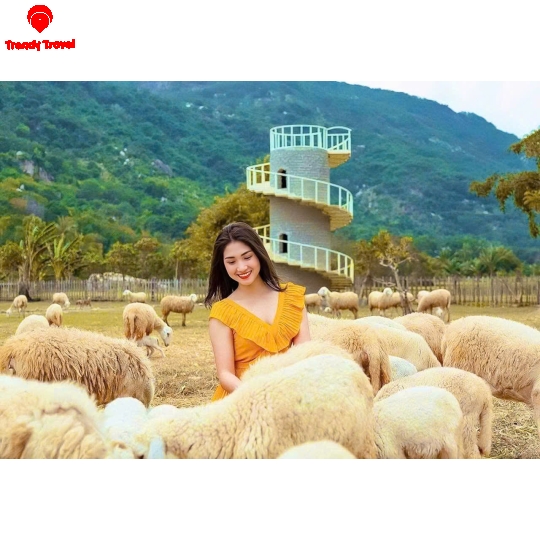 TOUR ĐỒNG CỪU – HANG RÁI – VƯỜN NHO – VĨNH HY 