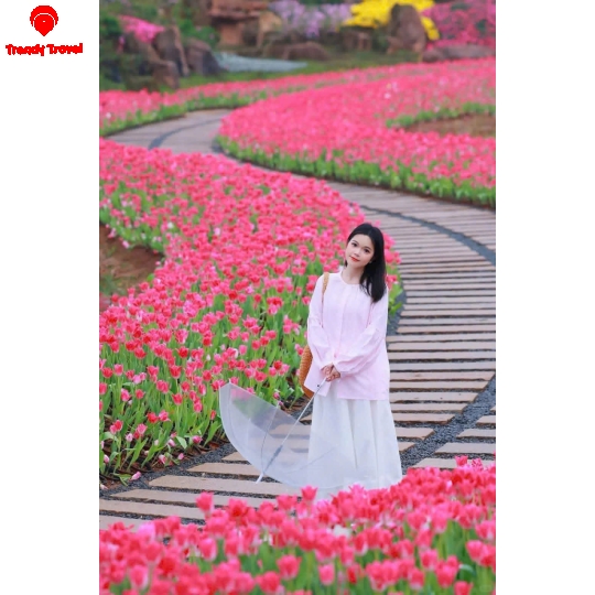 ĐÔNG HƯNG - NAM NINH - THÁI BÌNH CỔ TRẤN 3N2Đ