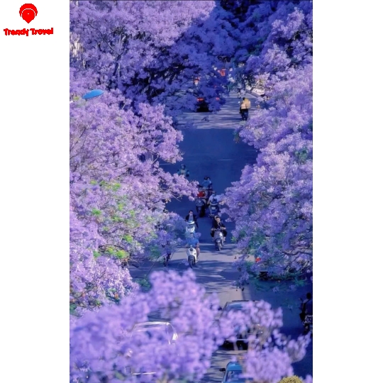 TOUR 4N4Đ HÀ NỘI - ĐẠI LÝ - CÔN MINH - SANTORINI