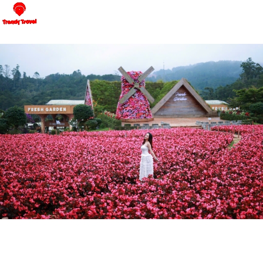 HOME ĐÀ LẠT 3PN XINH XẮN