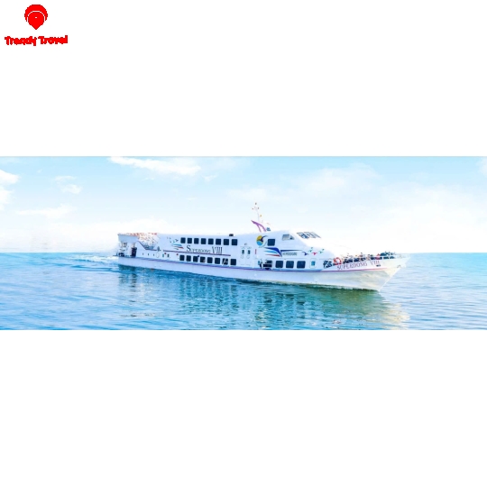  COMBO HÒN SƠN 2N1Đ