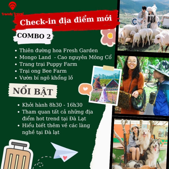 TOUR GHÉP TRONG NGÀY - ĐÀ LẠT