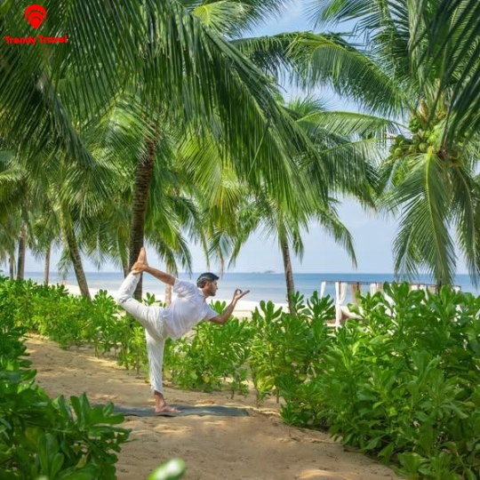 MELIA VINPEARL PHÚ QUỐC 5⭐ | ZÁ HỢP ĐỒNG