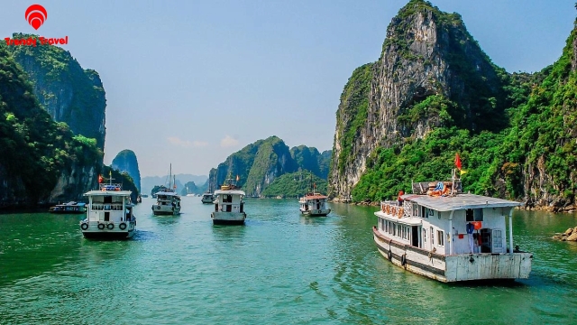 🌸 MỘT CHUYẾN ĐI – HAI TRẢI NGHIỆM ĐẲNG CẤP TẠI HẠ LONG! 🌊 