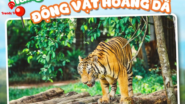 CTKM VINWONDERS NAM HỘI AN