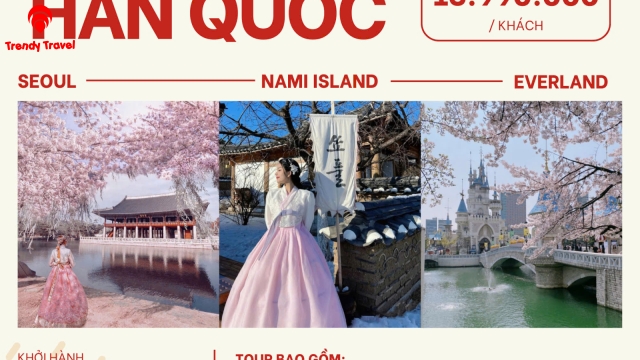 TOUR HÀN QUỐC 2026: CHẠM VÀO GIẤC MƠ ANH ĐÀO RỰC RỠ