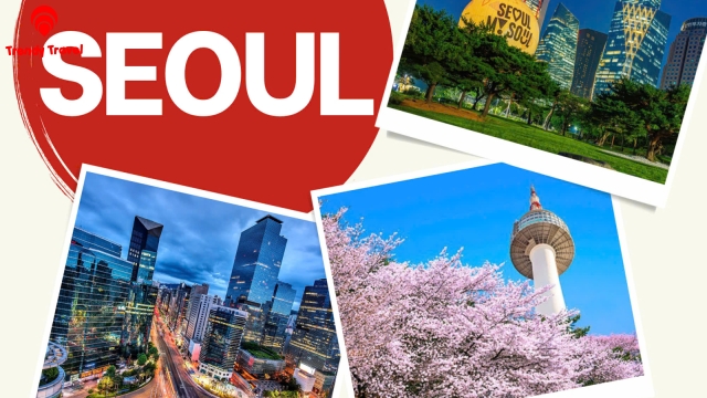 TOUR HÀN QUỐC 2026: CHẠM VÀO GIẤC MƠ ANH ĐÀO RỰC RỠ