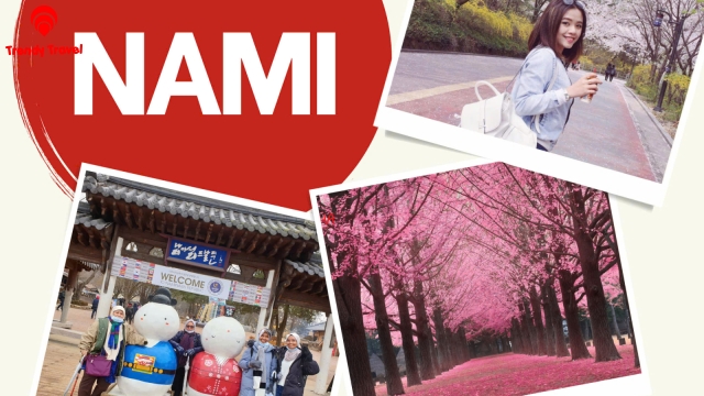TOUR HÀN QUỐC 2026: CHẠM VÀO GIẤC MƠ ANH ĐÀO RỰC RỠ