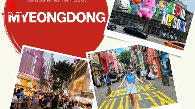 TOUR HÀN QUỐC 2026: CHẠM VÀO GIẤC MƠ ANH ĐÀO RỰC RỠ
