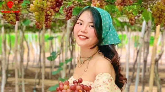 TOUR ĐỒNG CỪU – HANG RÁI – VƯỜN NHO – VĨNH HY 