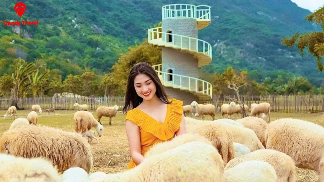 TOUR ĐỒNG CỪU – HANG RÁI – VƯỜN NHO – VĨNH HY 