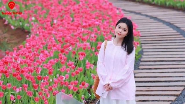 ĐÔNG HƯNG - NAM NINH - THÁI BÌNH CỔ TRẤN 3N2Đ
