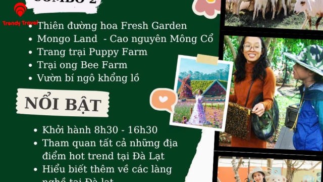 TOUR GHÉP TRONG NGÀY - ĐÀ LẠT