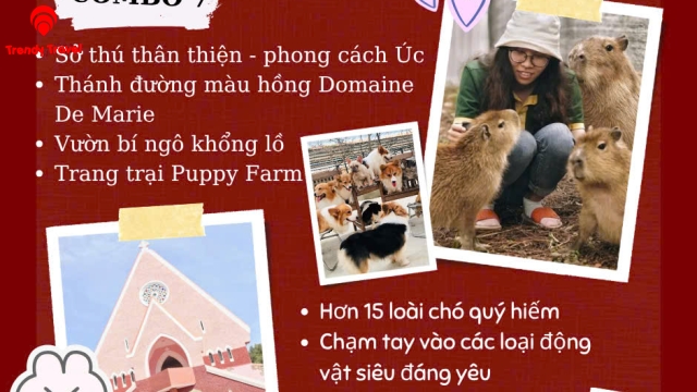 TOUR GHÉP TRONG NGÀY - ĐÀ LẠT